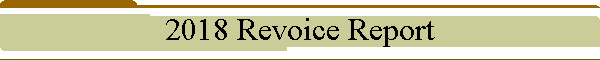 2018 Revoice Report